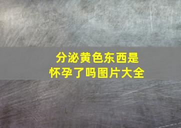 分泌黄色东西是怀孕了吗图片大全