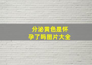 分泌黄色是怀孕了吗图片大全