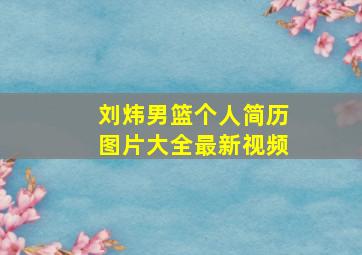 刘炜男篮个人简历图片大全最新视频