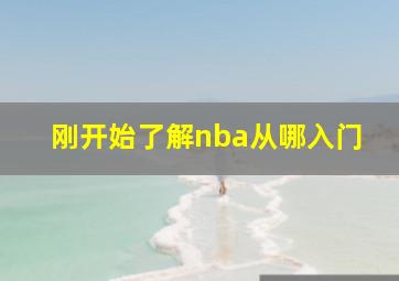 刚开始了解nba从哪入门