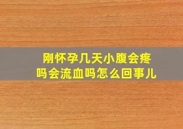 刚怀孕几天小腹会疼吗会流血吗怎么回事儿