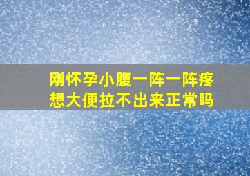 刚怀孕小腹一阵一阵疼想大便拉不出来正常吗