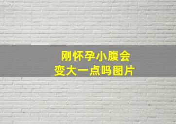 刚怀孕小腹会变大一点吗图片