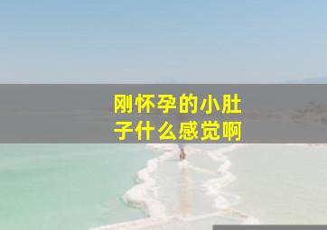 刚怀孕的小肚子什么感觉啊