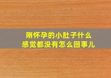 刚怀孕的小肚子什么感觉都没有怎么回事儿