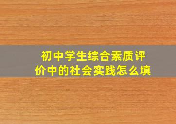 初中学生综合素质评价中的社会实践怎么填