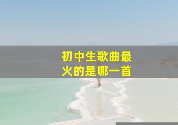 初中生歌曲最火的是哪一首