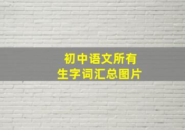 初中语文所有生字词汇总图片