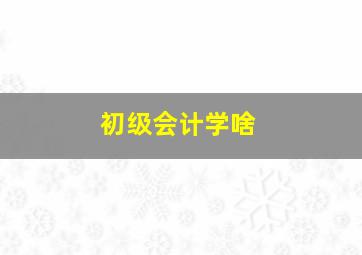 初级会计学啥