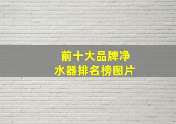 前十大品牌净水器排名榜图片