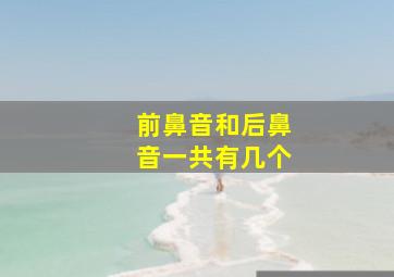 前鼻音和后鼻音一共有几个