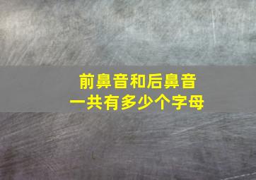 前鼻音和后鼻音一共有多少个字母