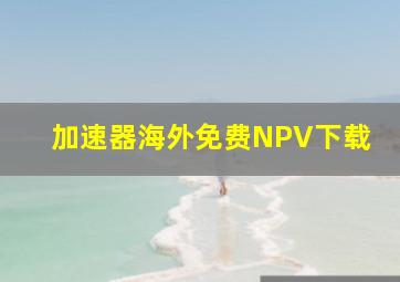 加速器海外免费NPV下载