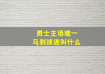 勇士主场唯一马刺球迷叫什么