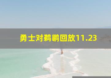 勇士对鹈鹕回放11.23