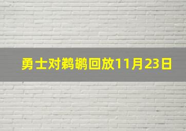 勇士对鹈鹕回放11月23日