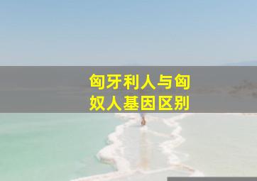 匈牙利人与匈奴人基因区别