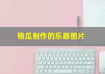 匏瓜制作的乐器图片