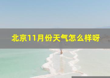 北京11月份天气怎么样呀