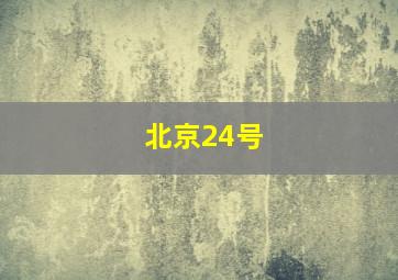 北京24号