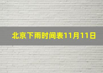 北京下雨时间表11月11日