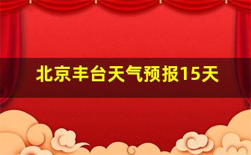 北京丰台天气预报15天