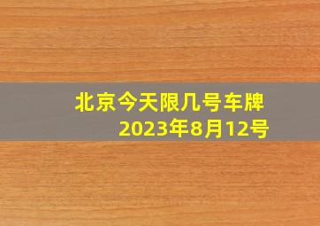 北京今天限几号车牌2023年8月12号