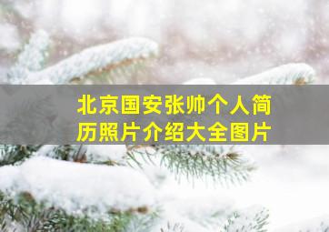 北京国安张帅个人简历照片介绍大全图片