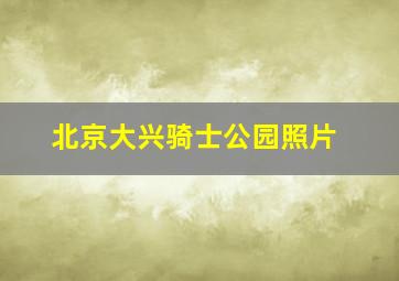 北京大兴骑士公园照片