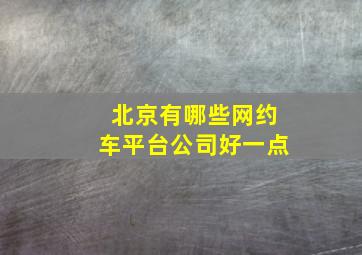 北京有哪些网约车平台公司好一点