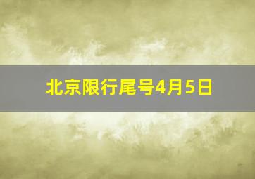 北京限行尾号4月5日