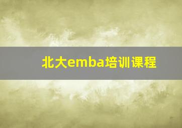 北大emba培训课程