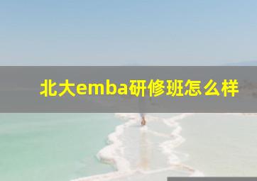 北大emba研修班怎么样