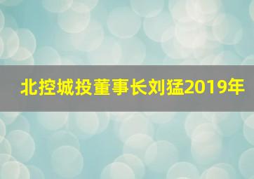 北控城投董事长刘猛2019年