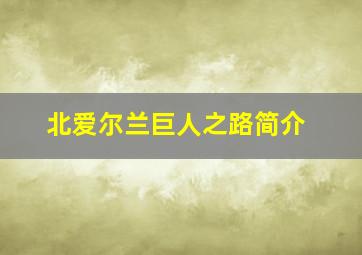 北爱尔兰巨人之路简介