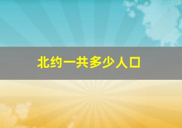 北约一共多少人口