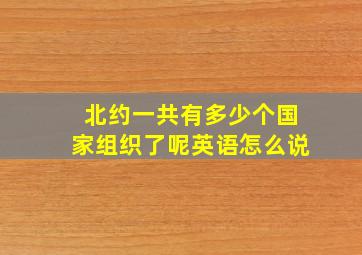 北约一共有多少个国家组织了呢英语怎么说