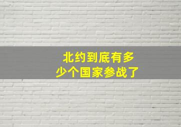 北约到底有多少个国家参战了