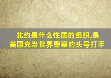 北约是什么性质的组织,是美国充当世界警察的头号打手