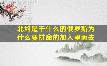 北约是干什么的俄罗斯为什么要拼命的加入里面去