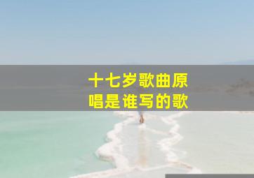 十七岁歌曲原唱是谁写的歌