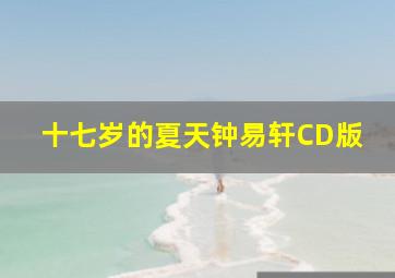 十七岁的夏天钟易轩CD版