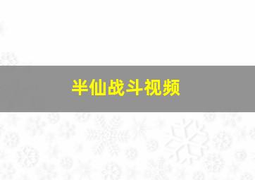 半仙战斗视频