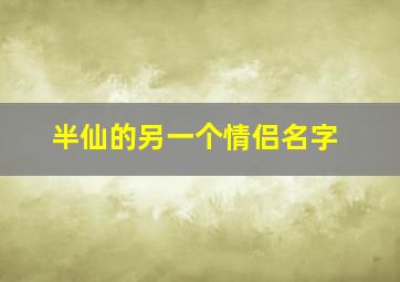 半仙的另一个情侣名字