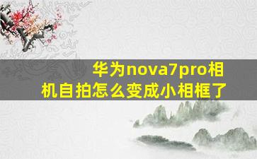 华为nova7pro相机自拍怎么变成小相框了