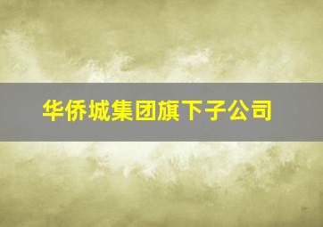 华侨城集团旗下子公司