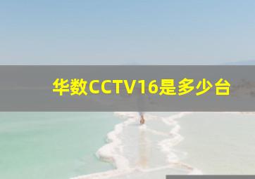 华数CCTV16是多少台