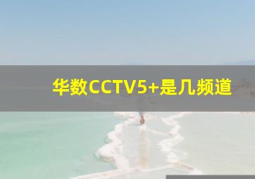 华数CCTV5+是几频道