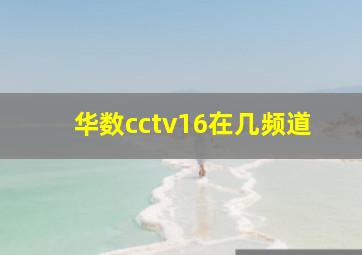 华数cctv16在几频道