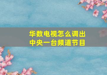 华数电视怎么调出中央一台频道节目